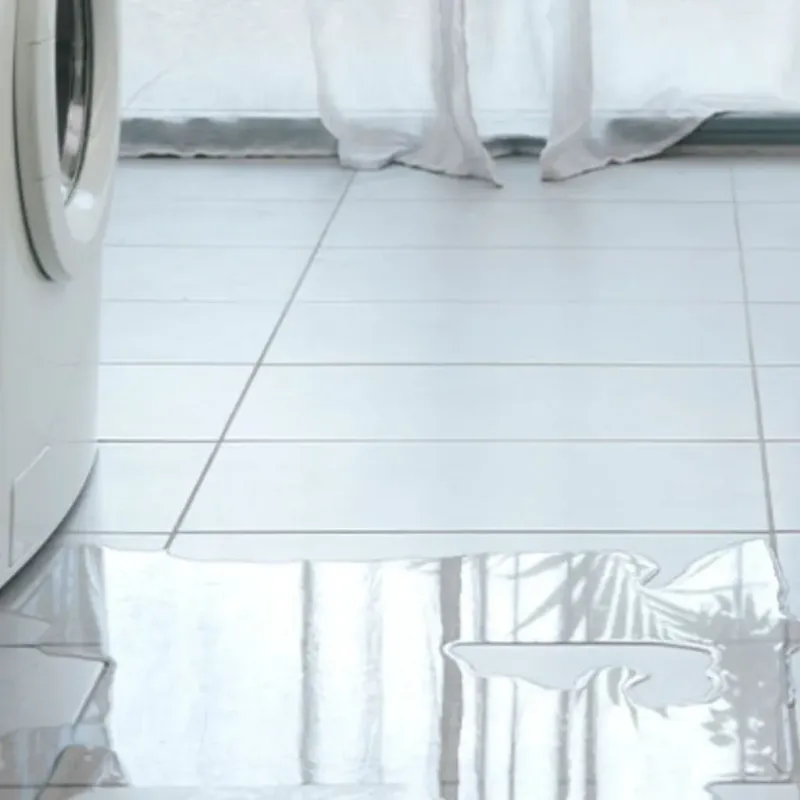 Appliance Leak Cleanup in Oakland City, IN