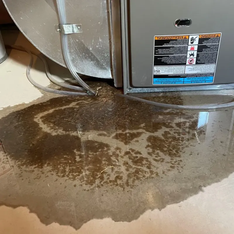 Pipe Burst and Leak Restoration in Oakland City, IN