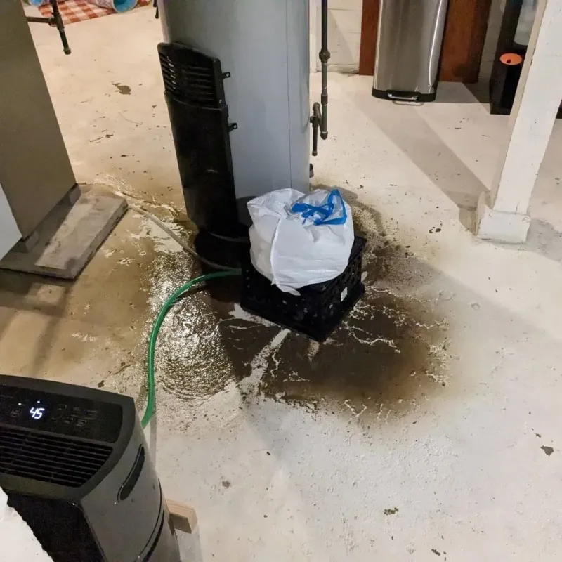 Sewage Backup Cleanup Service in Oakland City, IN
